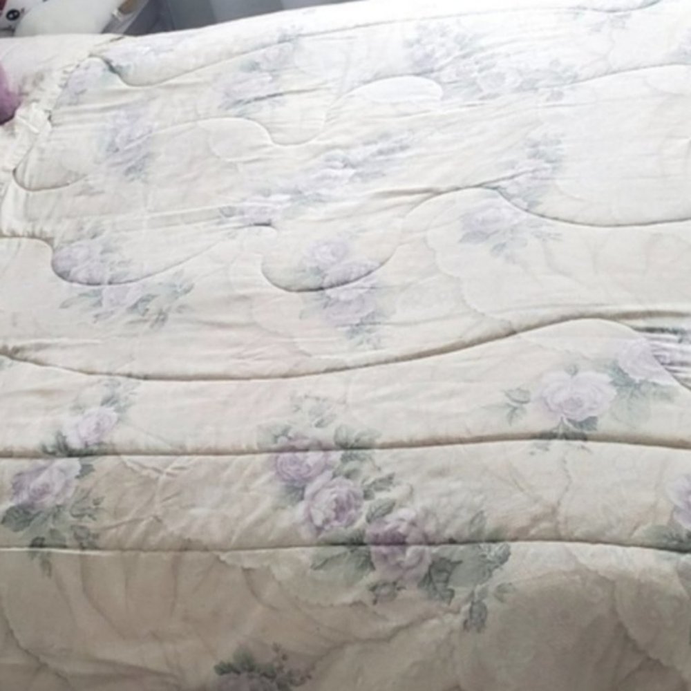 Duo Reversible Bed Comforter Size:Twin